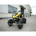 china atv 250cc atv quad bike cheap 250cc atv (BC-X250)